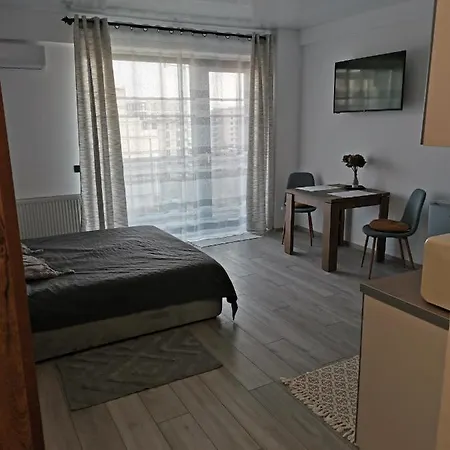 Apartament Garsoniera Manu *
